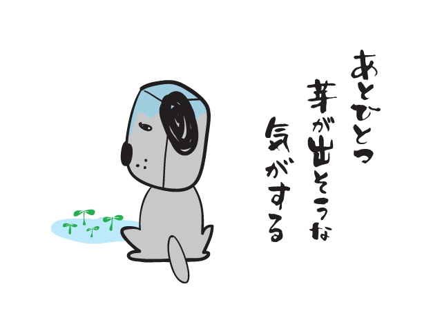 あとひとつ芽が出そうな気がする